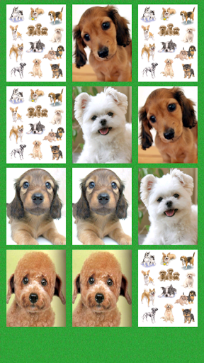 【免費紙牌App】Puppy Puzzle-APP點子