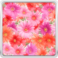 夏の花は壁紙を生きる Androidアプリ Applion
