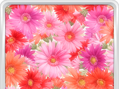 √画像をダウンロード 壁紙 ライブ壁紙 夏の花 248700