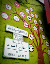 Traffic Sign Tree Rue Ghali Ahmed 