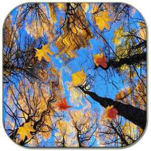 Autumn Wallpaper.apk 1.6