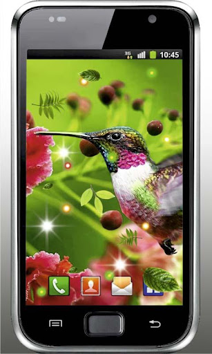 【免費個人化App】Colibri Love HD live wallpaper-APP點子