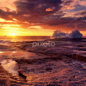Bicheno Blowhole Sunrise by Julien Johnston - Landscapes Sunsets & Sunrises