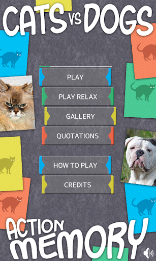 Cats Vs Dogs Action Memory