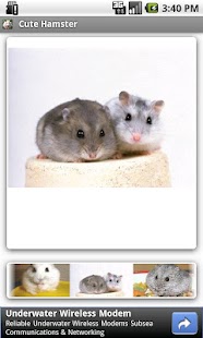 How to download Cute Hamster 1.0 unlimited apk for pc