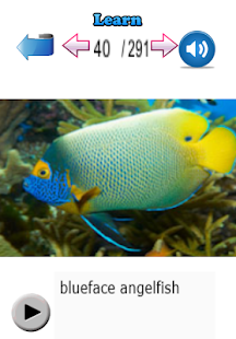 Learn Fish Names Screenshots 5