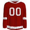 Detroit Red Wings News logo