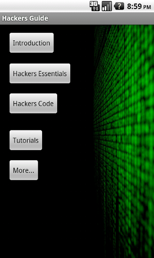 Ethical Hackers Guide