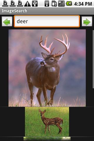 Android application Image Search screenshort