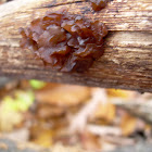 Brown witches butter