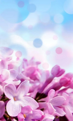 Lilac Flowers Live Wallpaper