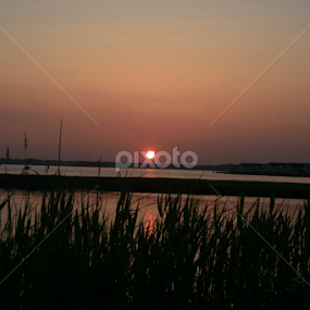 Bay sunset in Ocean City, MD by Dianne Collins - Landscapes Sunsets & Sunrises