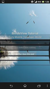 Blinds View Tutorial