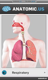 呼吸系统解剖游戏