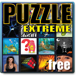 Puzzle Extreme Teen 100