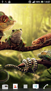 Exotic nature live wallpaper Screenshots 1