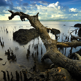 Sea Dragon by Hajar Wisnu Dwiputra - Landscapes Waterscapes