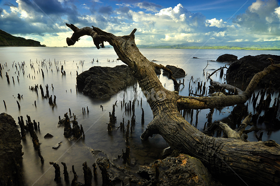 Sea Dragon by Hajar Wisnu Dwiputra - Landscapes Waterscapes