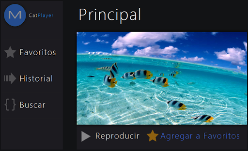 Reproductor de Video CatPlayer