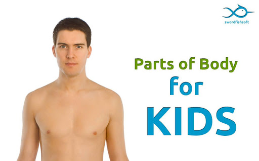 Parts of Body for Kids