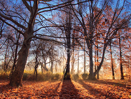 Breakthrough pt.I. by Zsolt Zsigmond -  