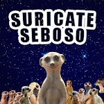 Suricate Seboso Apk