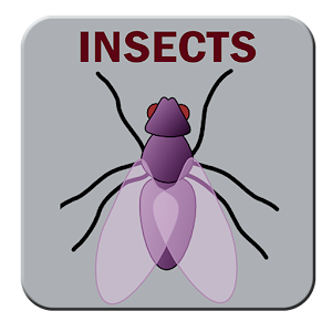 Insects.apk 2.0
