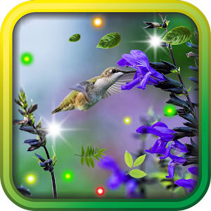 App colibri Love HD live wallpaper APK for Windows Phone ...