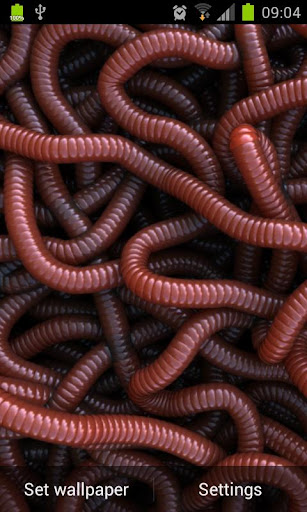 Can of Worms Live Wallpaper