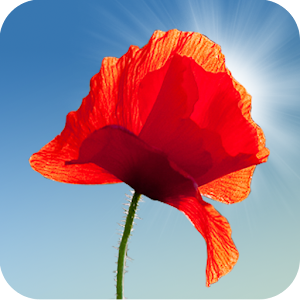 Poppy Field Live Wallpaper.apk 3.08