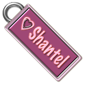 Shantel Name Tag logo