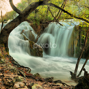 Pored puta by Darko Kireta - Landscapes Waterscapes