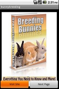How to download Rabbits Breeding lastet apk for bluestacks