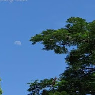 樂山溫泉拉麵