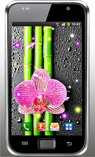 Orchid Gallery live wallpaper