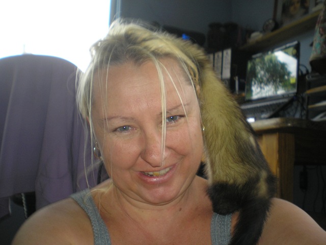 [Ferrets0032.jpg]