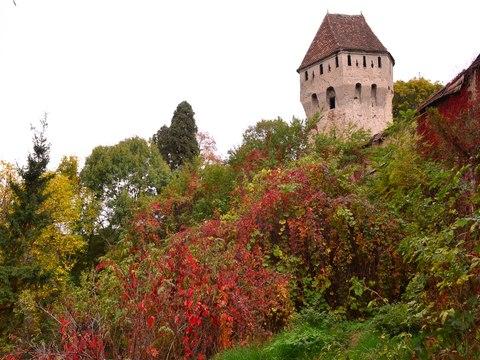 免費下載旅遊APP|Sighisoara Audio Video Guide app開箱文|APP開箱王