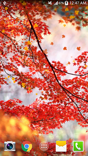 Maple Syrup Festival LWP FREE