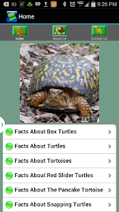 How to download An App About Turtles lastet apk for laptop