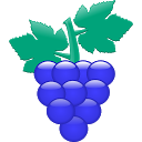 Grape (Vine-style recording!) mobile app icon
