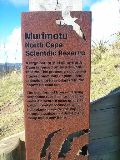 Murimotu North Cape Scientific Reserve