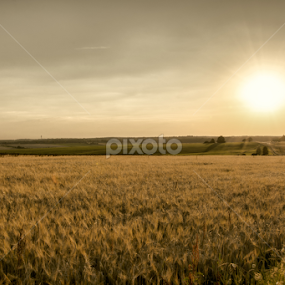 by Stankowski Daniel - Landscapes Sunsets & Sunrises