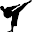 Kyokushin Budo Kai Guide Download on Windows