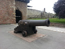 The Old Cannon