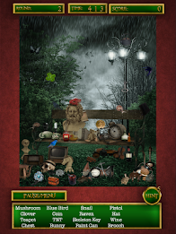Hidden Objects Lost Forest poster 12