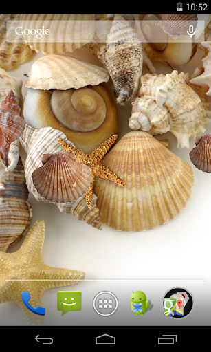 Sea shells Live Wallpaper