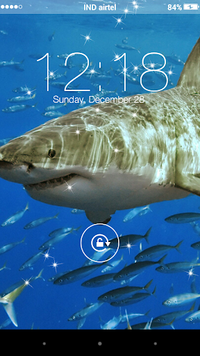 Shark Yo Locker HD