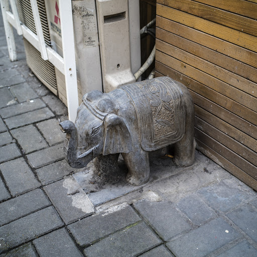 Pavement Elephant