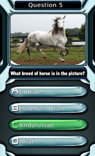 My Horse & Pony Breeds Quiz HD Screenshots 7