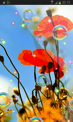 Summer 3D Poppies HD LWP